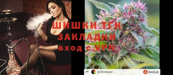 прущие грибы Абдулино