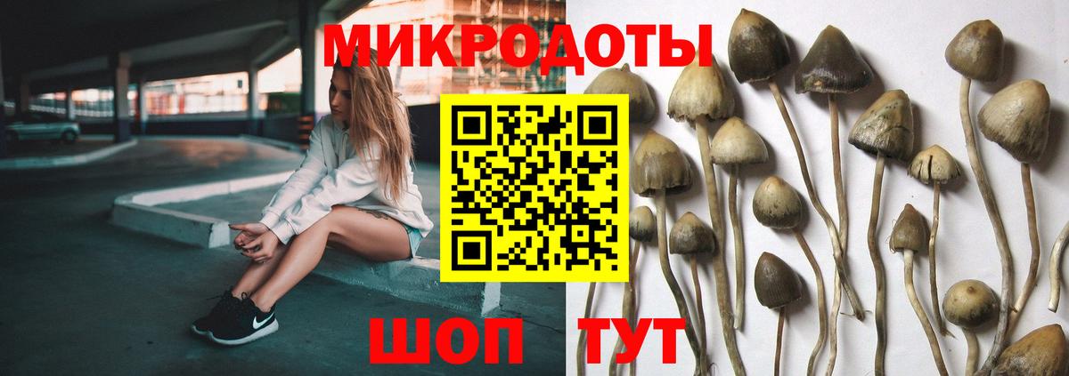 Псилоцибиновые грибы мицелий  Вход с VPN  Кизляр 